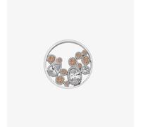 Hot Diamonds Emozioni Freedom Champagne 25mm Coin EC448