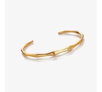 Hot Diamonds Golden Edit Bondi Bangle DC220