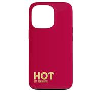 Hot Flashes Perimenopause Women Menopause Case for iPhone 13 Pro