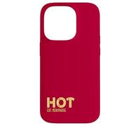 Hot Flashes Perimenopause Women Menopause Case for iPhone 14 Pro