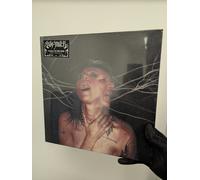 A Call To The Void [VINYL]