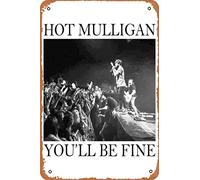 Hot Mulligan - You'll Be Fine Show Photography Poster Retro Metal Tin Vintage Sign 12 X 8 Inch Home Bar Man Cave Wall Decor