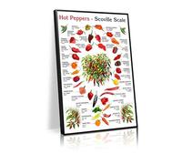 Hot pepper spiciness guide poster, from bell peppers to Carolina Reapers, over 30 varieties, art decoration for kitchen wall art, teaching, office wall decoration(L18 xW12-CANVAS)
