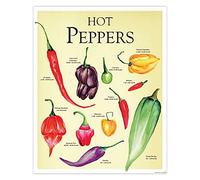 Hot Peppers/Paprika Kitchen Small Format Retro Metal Tin Sign 8X12 Inches