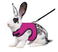 Hot Pink Bunny Harness and Leash, Escape Proof Rabbit Harness and Leash Set, Cute Bunnies Vest Clothes Stuff Accessories - Suit for 1-2 Months Rabbit Ferret Guinea Pig Small Animals, S