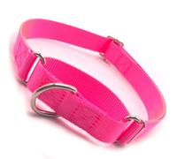 Hot pink Martingale Collar for Dogs, Dog Choke Collar Escape Proof No Pull Cinch Dog Training Collars Adjustable for Small Medium Large Breed Pet Dogs