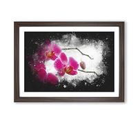 Hot Pink Orchids Paint Splash Framed Print | A2 Walnut Framed Wall Art | Ready to Hang | Modern Nature Picture | Living Room Bedroom Lounge Office