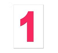Hot Pink Wheelie Bin Number 1 - Self Adhesive Waterproof Durable Vinyl Stickers - Digitally Cut to The Sticker Shape - Size 170mm (1)