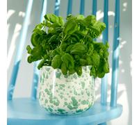 Hot Pottery Indoor Planter Pistachio