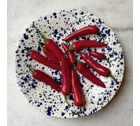Hot Pottery Shallow Serving Bowl Blueberry