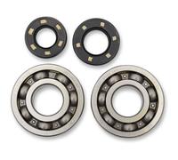 Hot Rods Kawasaki Kdx 250 94-91/kdx 250 94-91/kx 250 87-01 Crank Shaft Bearing&seal Kit