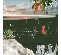Hot Second With The Velveteins [VINYL]