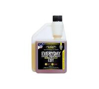 Hot Shots 16 oz Fuel Additive Everyday Diesel Treatment