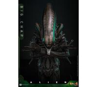Hot Toys 1/6 Big Chap - Alien