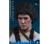 Hot Toys 1/6 Ellen Ripley Deluxe Version - Aliens