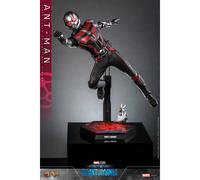 Hot Toys MMS690 - Marvel Comics - Ant Man & The Wasp : Quantumania - Ant Man