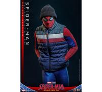 Hot Toys 1/6 Spider-Man Deluxe - Spider-Man - Brand New Day