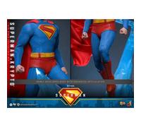Hot Toys 1/6 Superman & Krypto Figure