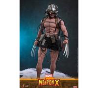 Hot Toys Marvel Comic Masterpiece Action Figure 1/6 Weapon X 31 cm