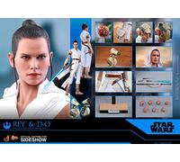 Hot Toys Movie Masterpiece Star Wars Dawn Skywalker 1/6 Scale Figure Ray & D-O (2-Piece Set), Multi-coloured