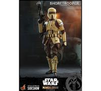 Hot Toys Star Wars The Mandalorian Action Figure 1/6 Shoretrooper 30 cm