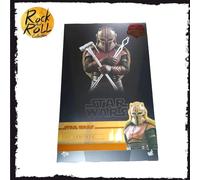 Hot Toys Star Wars The Mandalorian Armorer 1/6 Exclusive 29 cm TMS044
