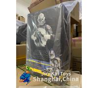 Hot Toys Star Wars: The Clone Wars 104th Battalion Wolfpack Clone Trooper (Deluxe Version) 1/6 Scale 30.5 cm Collectible Figure