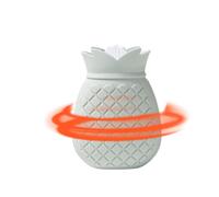 Hot Water Bag Pineapple Shape Portable Odorless Leak Proof