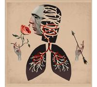 Hot Water Music - VOWS [Vinyl LP] [VINYL]