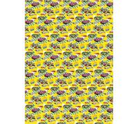 HOT WHEELS WRAPPING PAPER 2 Sheet 2 Tags BIRTHDAY GIFT WRAP