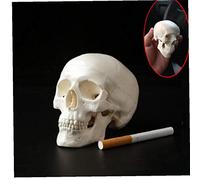 Hotaden 1pc Mini Skull Human Anatomical Anatomy Medical Model Convenient 92 * 99 * 71mm