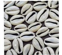 Hotaden 50 Pcs 1.5 Cm Cut Beach Sea Natural Shell Conch Beads Tribal Jewelry Making Craft Accessories Holes