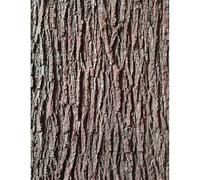 Hotainoys Artificial Tree Bark, Faux Plant Bark Wrap for Covering Pipes, Columns, Walls | Realistic Tree Decor for Indoor & Outdoor Crafts, 2m*0.2m Artificial