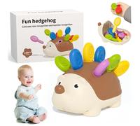 Hotainoys Color Sorting Toys for Toddlers 1-3 with Numbers Hedgehog-shaped Sorting Toys Educational Fine Motor Sensory with Inner Capacity for Storage, for Kids