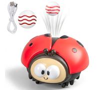Hotainoys Floating Ball Toy Fun Electric Ladybug Toys 2PCS USB Powered Blowing Baby Ball with Car for Boys Girls Ladybug Toy