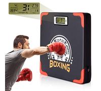 Hoteam Strength Tester Punch Force Sensor Adjustable Height Boxing Training Equipment Wall Mounted Boxing Boxer Boxing Machine Wall Punch Pad Boxing Punching Bag Machine for Adult Kid (Classic)