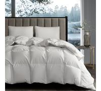 Hotel Grand White Goose Down Fiber Comforter Full Queen Size - All Season Fluffy Hotel Collection Duvet Insert Queen Medium Warmth Comforter with 1cm Breathable Panel, 90" x 90"