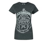 Hotel Transylvania Womens Grey Logo Short Sleeved T-Shirt - Small