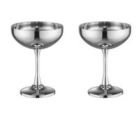 HOTENEAIRE Stainless Steel Martini Glasses Cocktail Coupe Glasses 270ml Wine Goblet Ice Cream Bowl Dessert Bowl Metal Pudding Cups Salad Holder for Home Kitchen (Silver)