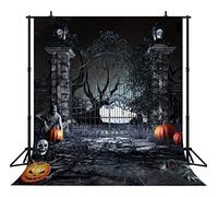 Hothings Horts Halloween Photo Backdrop Carft Background Architecture Photography Vinyl Parade for Children Adult Family Halloween Party 8 x 8 ft