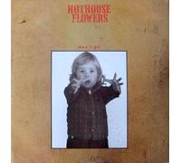 Hothouse Flowers - Don't Go [12" Vinyl]