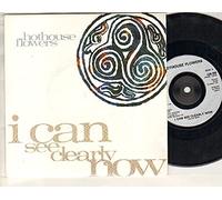HOTHOUSE FLOWERS - HOTHOUSE FLOWERS - I CAN SEE CLEARLY NOW - 7 inch vinyl / 45