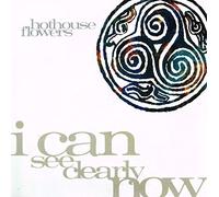 Hothouse Flowers - I Can See Clearly Now