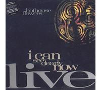 Hothouse Flowers - I Can See Clearly Now Live