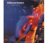 Hothouse Flowers - Songs From The Rain [Vinyl LP]