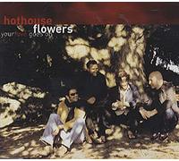 HOTHOUSE FLOWERS - Your Love Goes on