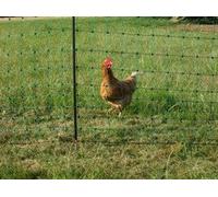 Hotline 50m x 1.22m Tall Close Mesh Netting - The Professional Fox Buster Net - Dark Green with Black Posts
