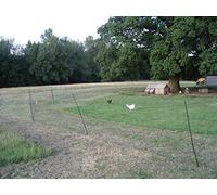 Hotline Electric Fencing Standard Poultry Net - 25m x 1.1m