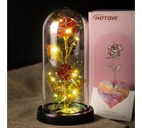 HOTOIQ Birthday Gifts for Women, Christmas Glass Rose Flowers Gift, Eternal Rose Light Up Rose Flower in Glass Dome, Artificial Flower Rose Gift for Women, Mom, Wife, for Wedding,Birthday,Anniversary