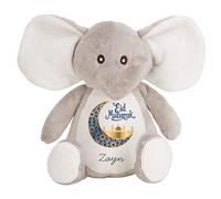 HotScamp Eid Gift Cuddly Toy - Personalised Eid Mubarak Blue Moon Customised Teddy Kids Plush Named Ramadan My First Muslim Islamic Baby Child Soft Plushie - Pink Teddy